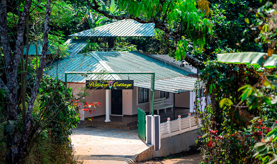 Prestige Holidays Munnar- Deluxe Room